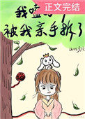 我嗑的cp被我亲手拆了小说晋江